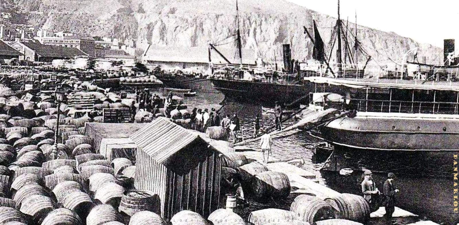 2660- Oran - Quai du Senegal - Exportations Vins2.jpg